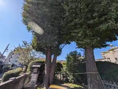 元宿堰稲荷大神(東京都)