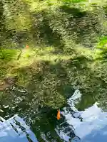 涌釜神社(栃木県)