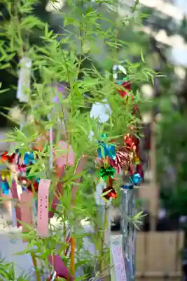 東京大神宮(東京都)