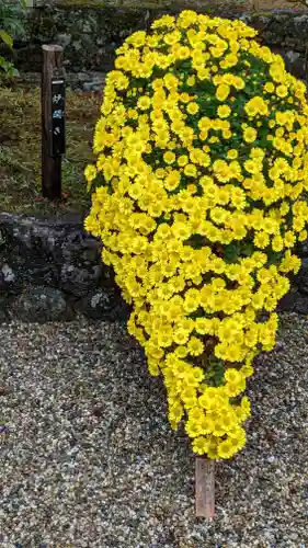 大原野神社(京都府)
