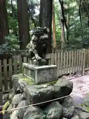 椿大神社の狛犬