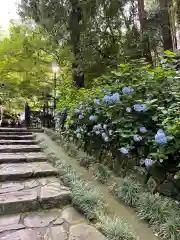 瑞鳳殿(宮城県)