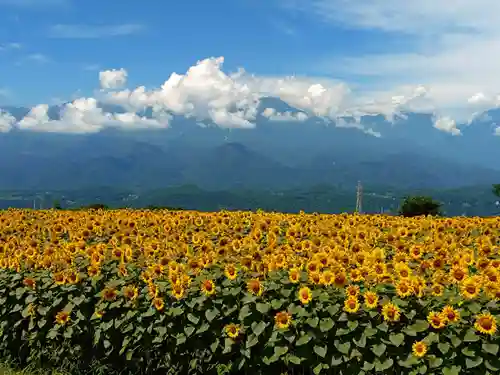 身曾岐神社(山梨県)