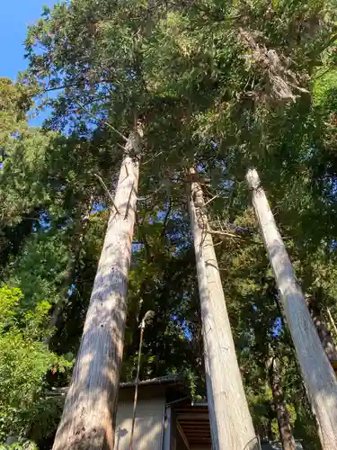 恵那神社の自然