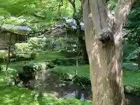 宗鏡寺(兵庫県)