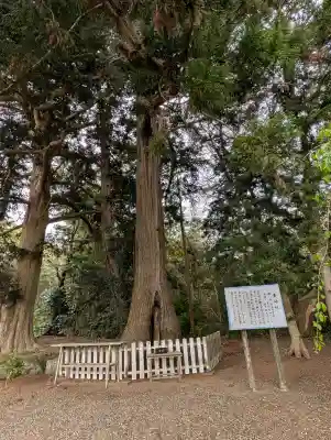 鎌数伊勢大神宮の{uncategorized: "未分類", other: "その他", undefined: "問題あり", building: "その他建物", grave: "お墓", sacred_gate: "鳥居", guardian: "狛犬", statue: "像", buddha: "仏像", history: "歴史", nature: "自然", garden: "庭園", animal: "動物", pagoda: "塔", temizu: "手水舎", mountain_gate: "山門・神門", sanctuary: "本殿・本堂", subordinate: "末社・摂社", art: "芸術", scenery: "景色", jizo: "地蔵", ema: "絵馬", goshuin: "御朱印", omikuji: "おみくじ", items: "授与品その他", amulet: "お守り", goshuincho: "御朱印帳", eats: "食事", festival: "お祭り", votive_dance: "神楽", shichigosan: "七五三参", wedding: "結婚式", experience: "体験その他", initially: "初詣", around: "周辺", anti_infection: "感染症対策"}