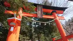 新倉富士浅間神社の鳥居