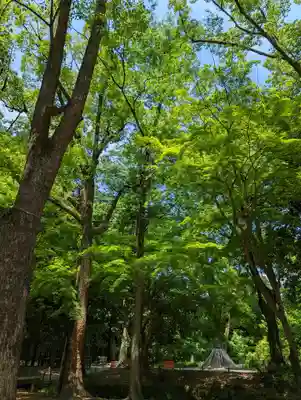 賀茂御祖神社（下鴨神社）(京都府)