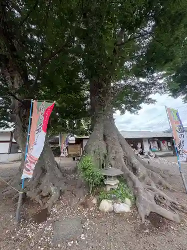 八枝神社(埼玉県)