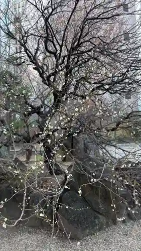 御霊神社(大阪府)