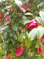 徳性寺(宮城県)