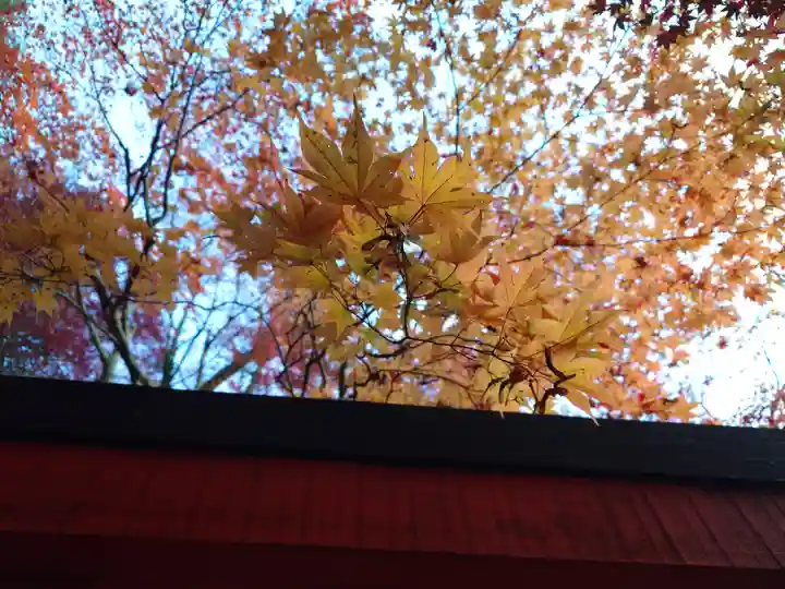 太皷谷稲成神社(島根県)