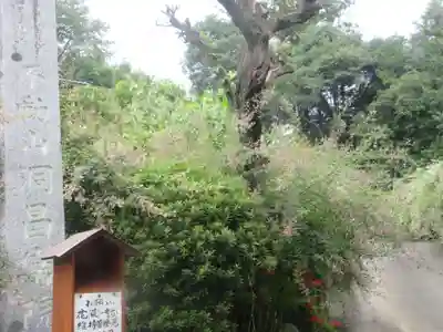 洞昌院(埼玉県)