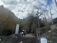 妙義神社(群馬県)