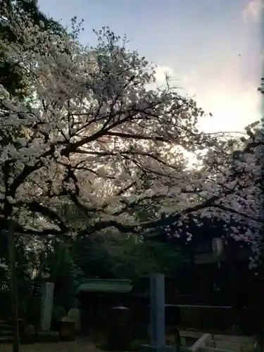 龍光寺(東京都)