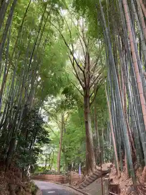 水戸愛宕神社(茨城県)