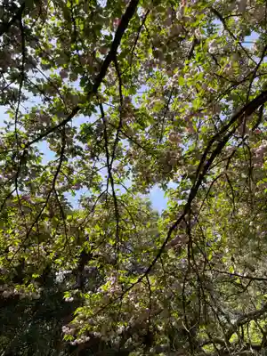 春日大社金龍神社（禁裡殿）(奈良県)