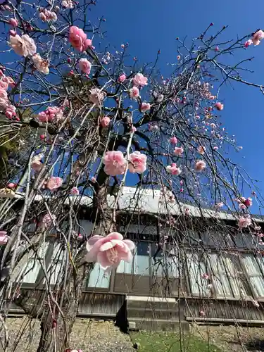 延命寺の御朱印