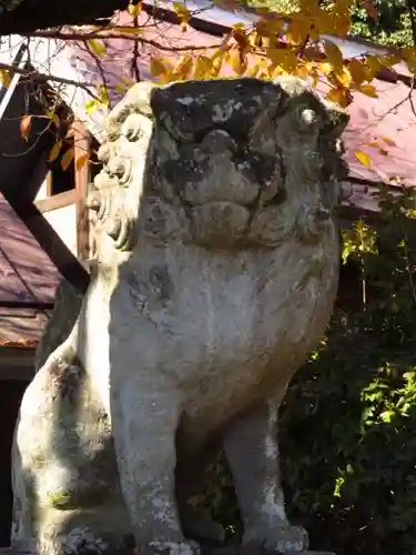 黒戸奈神社の狛犬