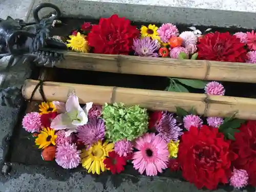 札幌護國神社の手水