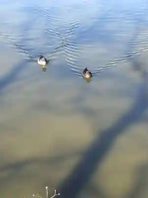 八雲神社（手代木）(宮城県)