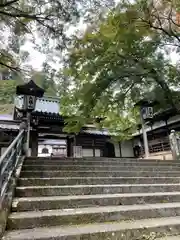 最乗寺（道了尊）の山門