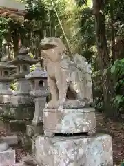 赤猪岩神社の狛犬