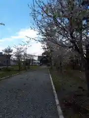 新篠津神社の建物その他