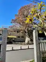 成田山不動尊(東京都)