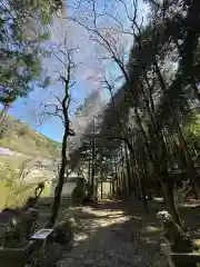 浅川神社(東京都)