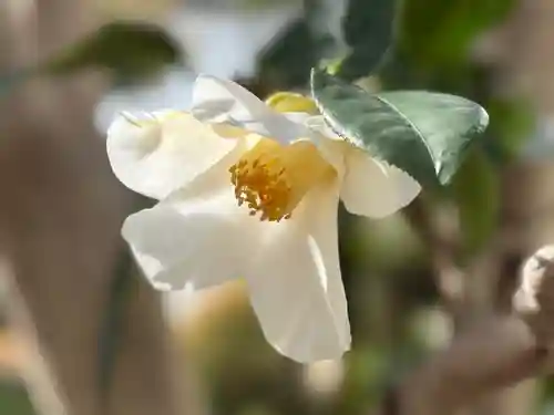 西方山極楽寺(岐阜県)