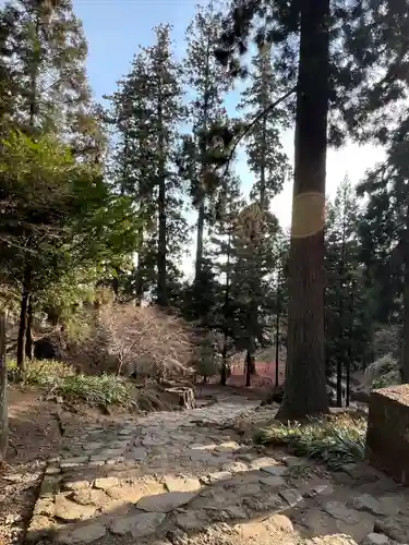 妙義神社(群馬県)