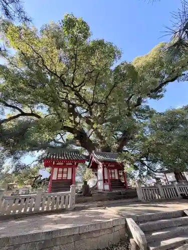 善通寺(香川県)