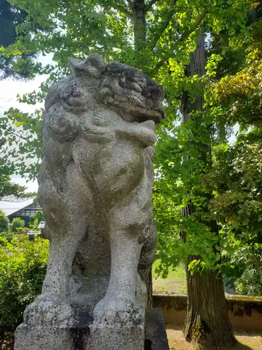 鹿嶋神社の狛犬