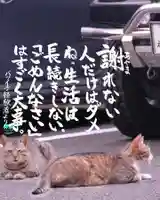 専念寺(大阪府)