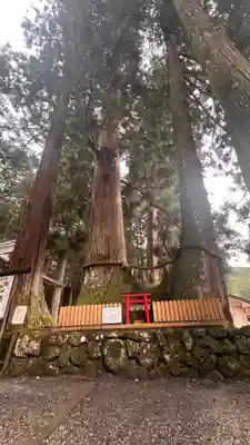 室生龍穴神社(奈良県)