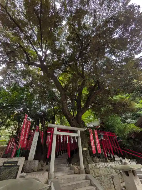 乃木神社(東京都)
