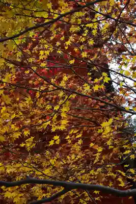 談山神社(奈良県)