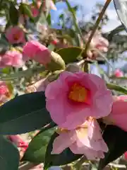 荘厳浄土寺(大阪府)