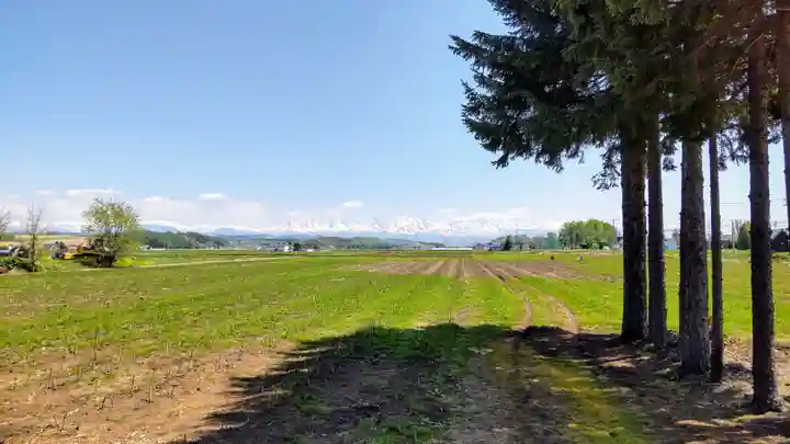 美瑛神社の景色