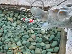 西野神社の手水