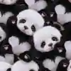 パンダ🐾