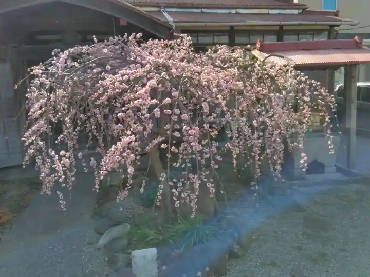 妙法寺(山崎)(神奈川県)