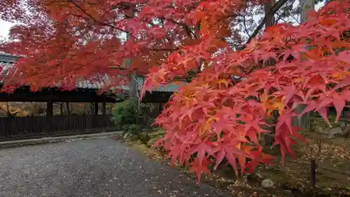 真正極楽寺（真如堂）(京都府)
