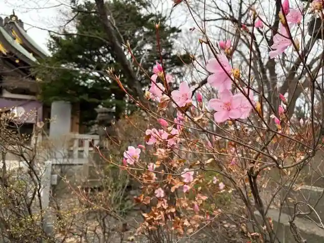 彌彦神社 (伊夜日子神社)(北海道)