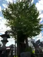 行徳神明神社(豊受神社)の{uncategorized: "未分類", other: "その他", undefined: "問題あり", building: "その他建物", grave: "お墓", sacred_gate: "鳥居", guardian: "狛犬", statue: "像", buddha: "仏像", history: "歴史", nature: "自然", garden: "庭園", animal: "動物", pagoda: "塔", temizu: "手水舎", mountain_gate: "山門・神門", sanctuary: "本殿・本堂", subordinate: "末社・摂社", art: "芸術", scenery: "景色", jizo: "地蔵", ema: "絵馬", goshuin: "御朱印", omikuji: "おみくじ", items: "授与品その他", amulet: "お守り", goshuincho: "御朱印帳", eats: "食事", festival: "お祭り", votive_dance: "神楽", shichigosan: "七五三参", wedding: "結婚式", experience: "体験その他", initially: "初詣", around: "周辺", anti_infection: "感染症対策"}