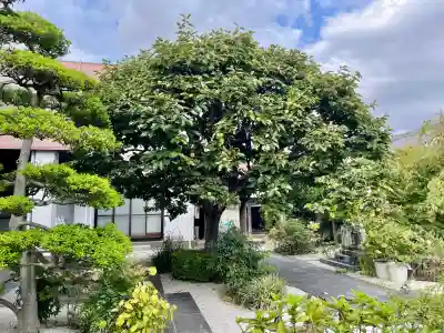 花蔵院(東京都)