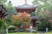 温泉山 安楽寺(四国霊場第六番札所)のその他建物