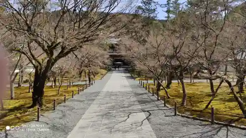南禅寺のその他建物