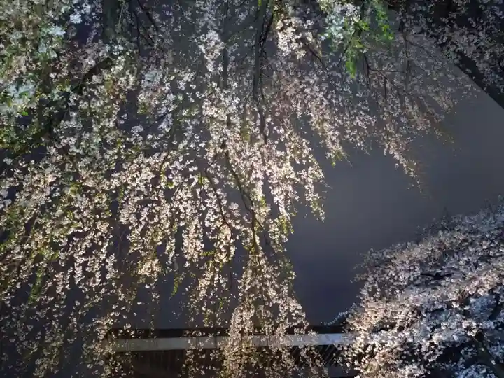 常圓寺(東京都)